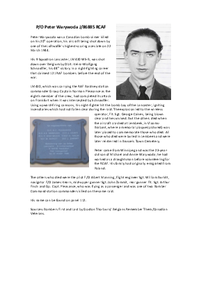 A preview of a PDF biography for Warywoda, Peter